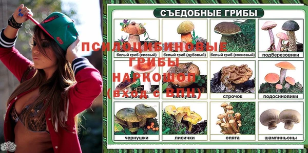 каннабис Богородицк