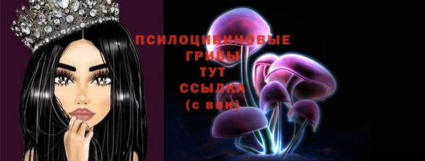 спиды Чердынь