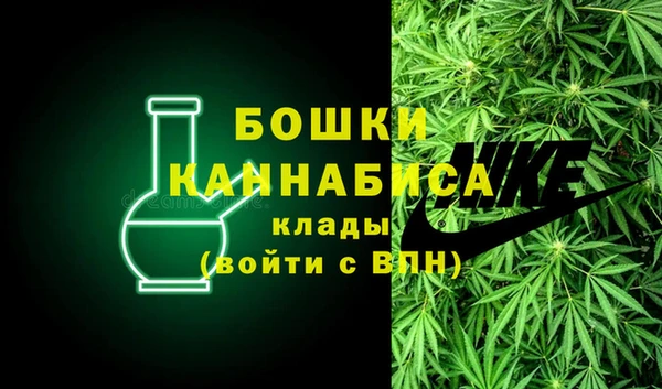 прущие крисы Белокуриха