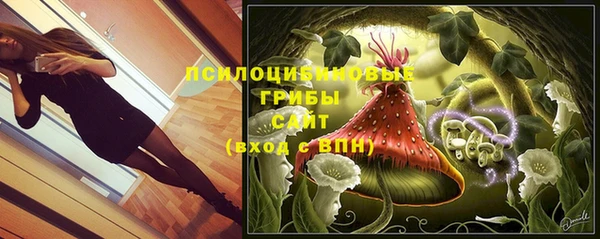 каннабис Богородицк